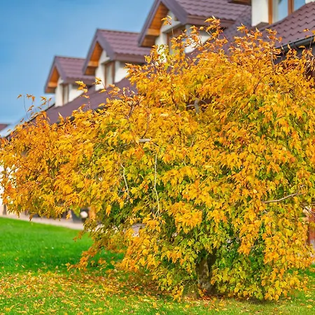 Gaja ダルウフコ